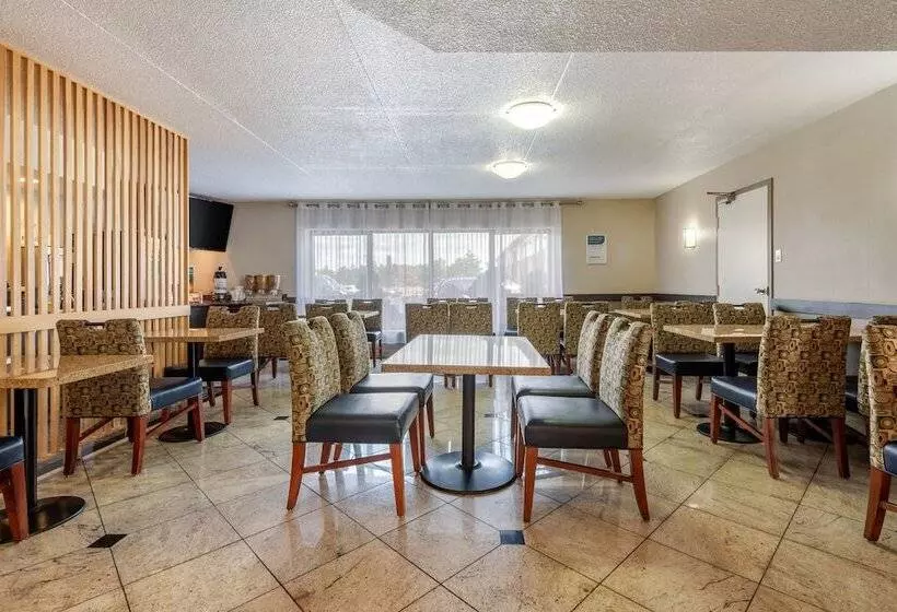 호텔 Quality Inn & Suites 5585 Ambler Drive Mississauga Ontario