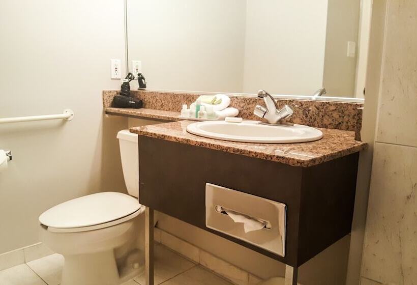 هتل Rosedale On Robson Suite