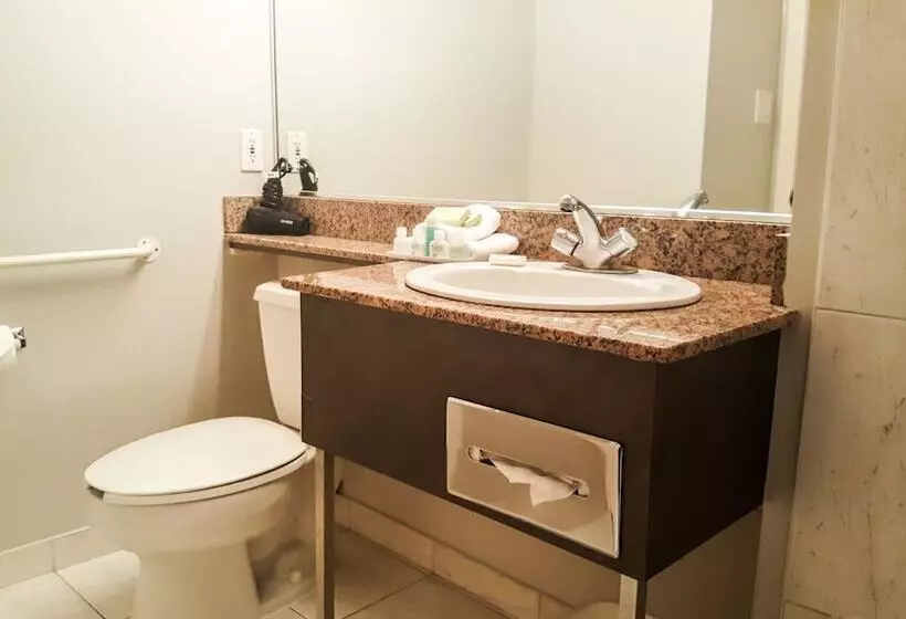 Отель Rosedale On Robson Suite