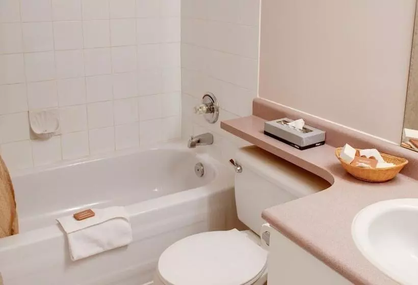 בית מלון כפרי Sandman Inn Mcbride