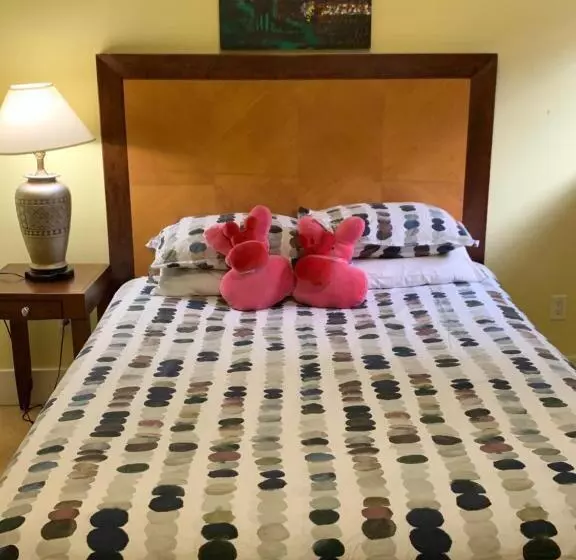 호텔 Manor Guest House