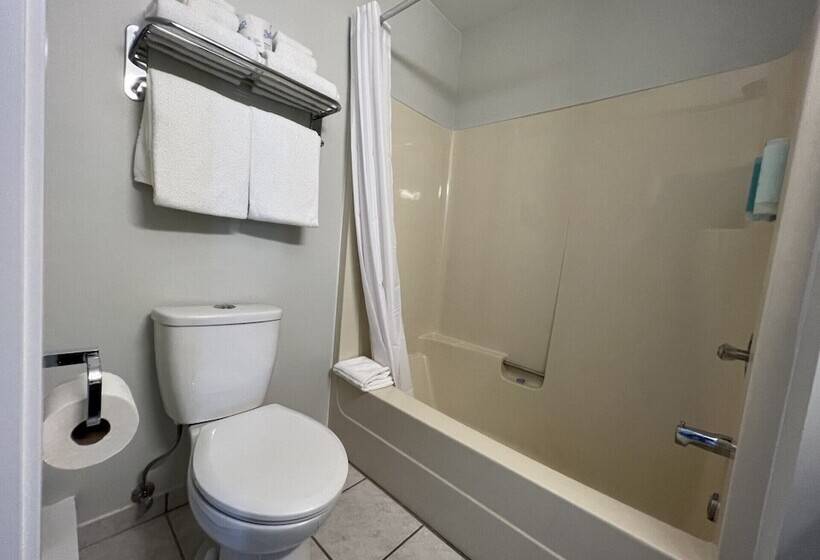 هتل The Vista Inn