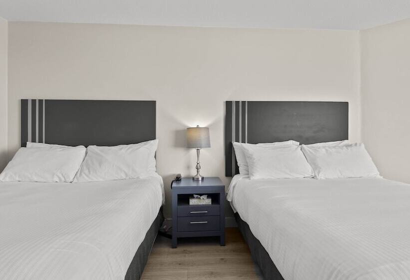 هتل The Vista Inn