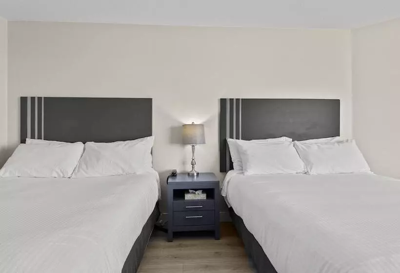 ホテル The Vista Inn