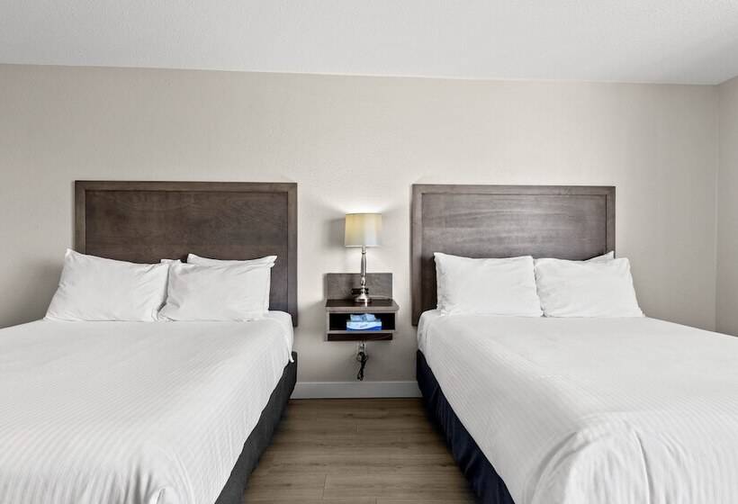 هتل The Vista Inn