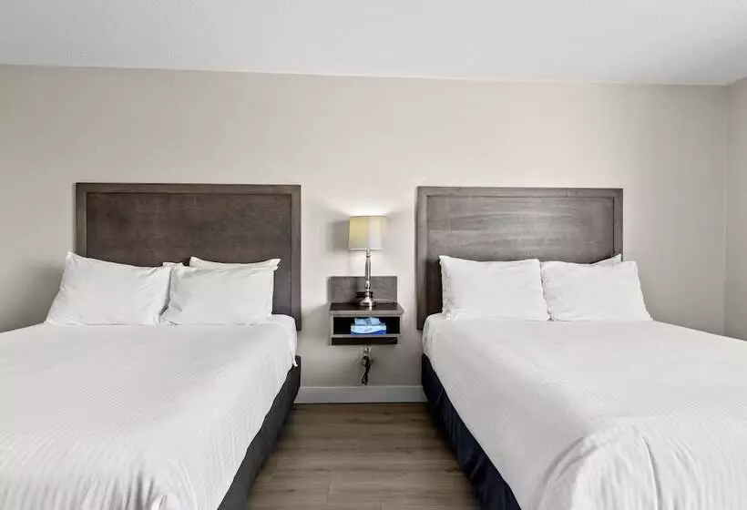 ホテル The Vista Inn