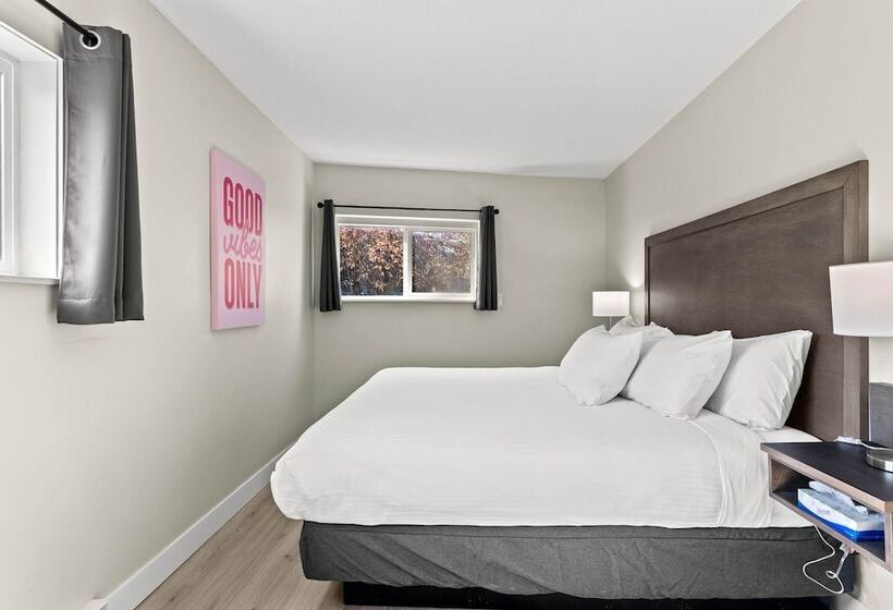 هتل The Vista Inn