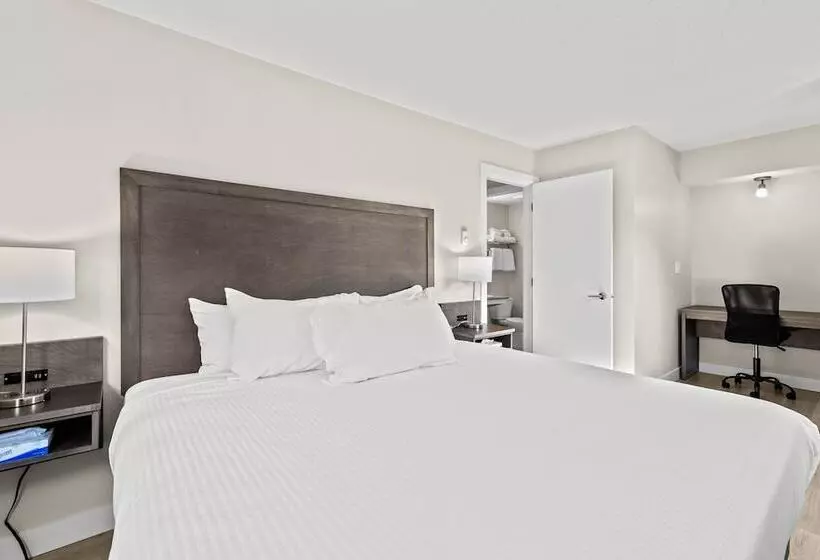 ホテル The Vista Inn