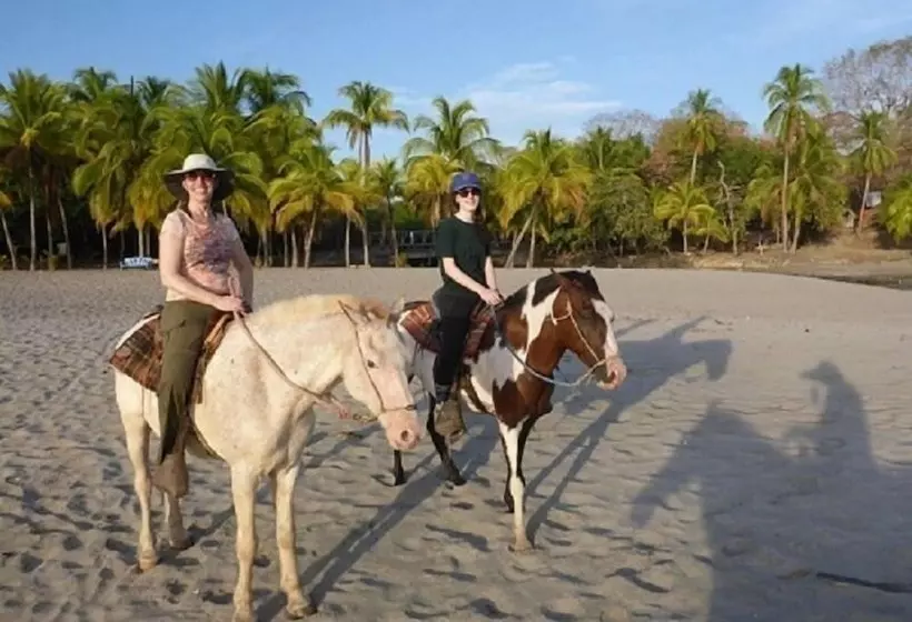 Отель Blue Iguana