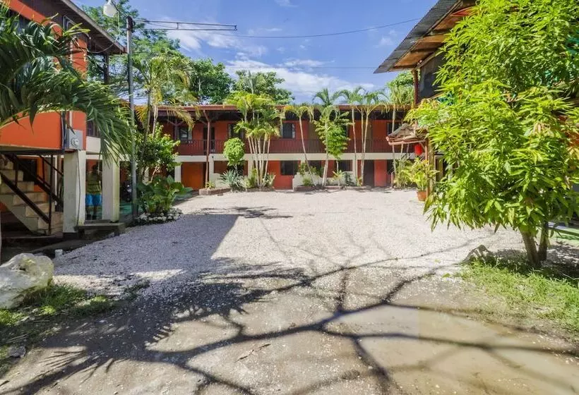 Отель Blue Iguana