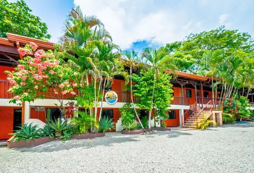 Отель Blue Iguana