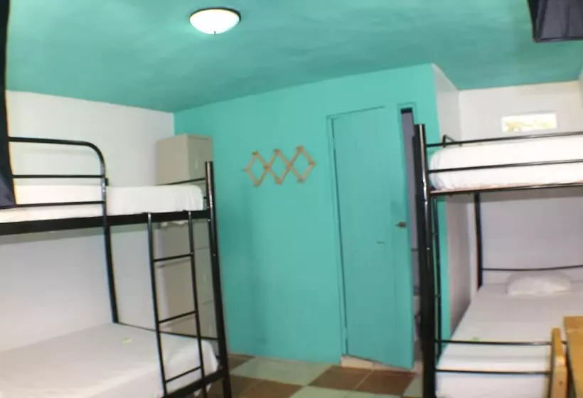 Отель Blue Iguana