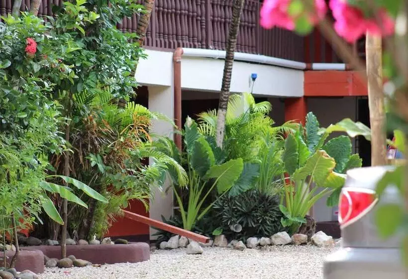 Отель Blue Iguana