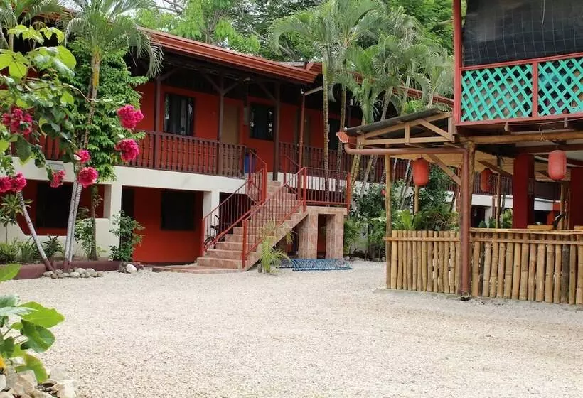 Отель Blue Iguana