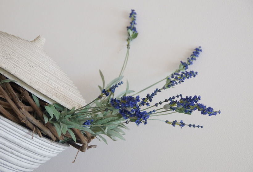 בית מלון כפרי Posejdon