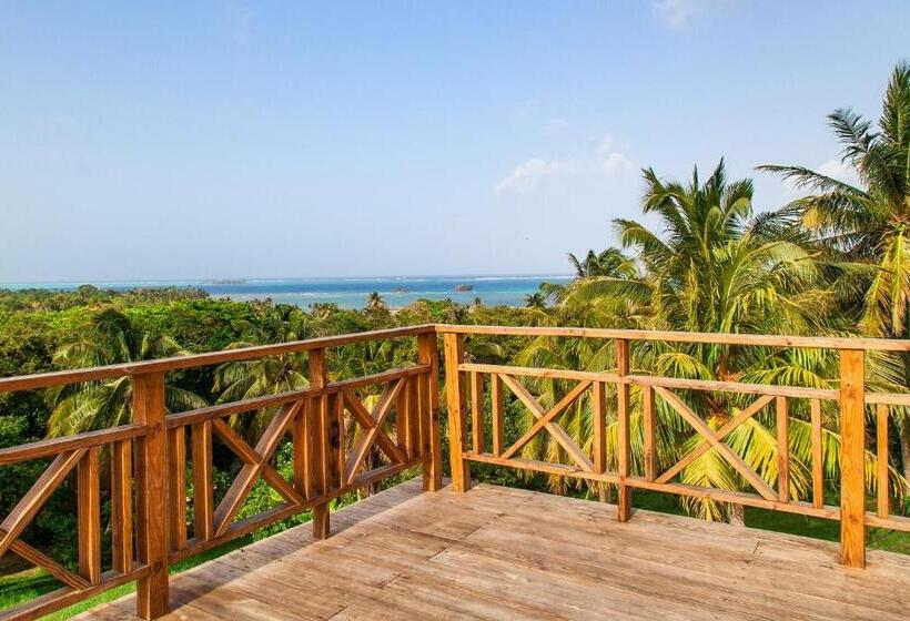 هتل Sol Caribe Campo