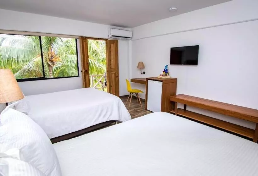 Отель Sol Caribe Campo