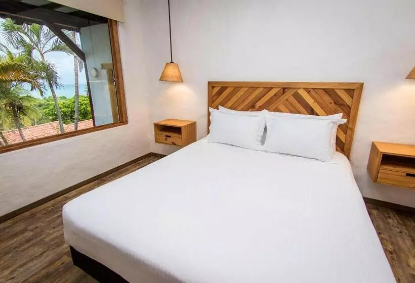 Отель Sol Caribe Campo