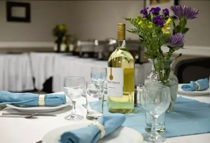 酒店 Visitor S Inn