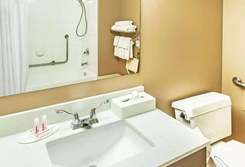 汽车旅馆  Super 8 By Wyndham Calgary/airport