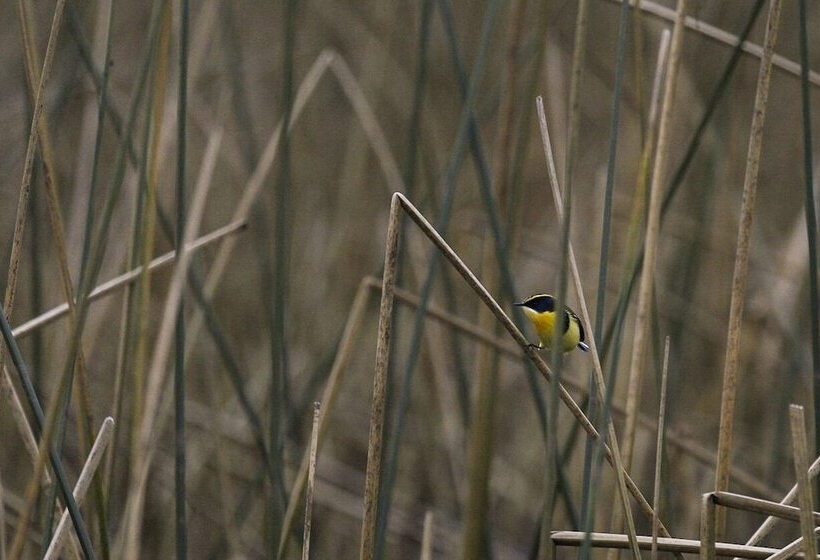 فندق Puerta Del Sur