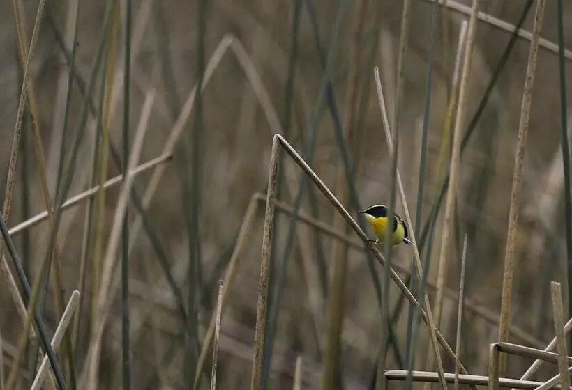 酒店 Puerta Del Sur