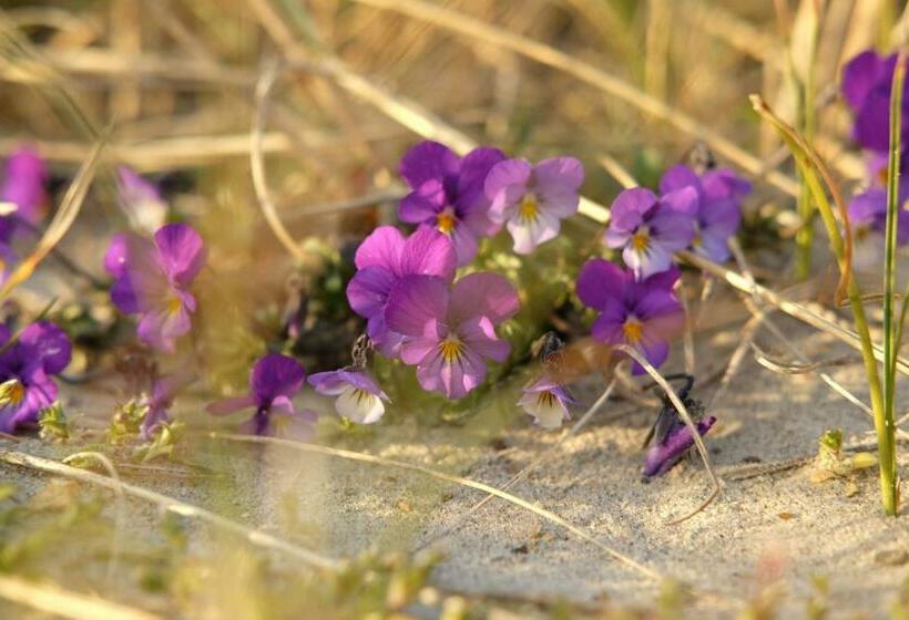 Hotel Strandlyst Bade