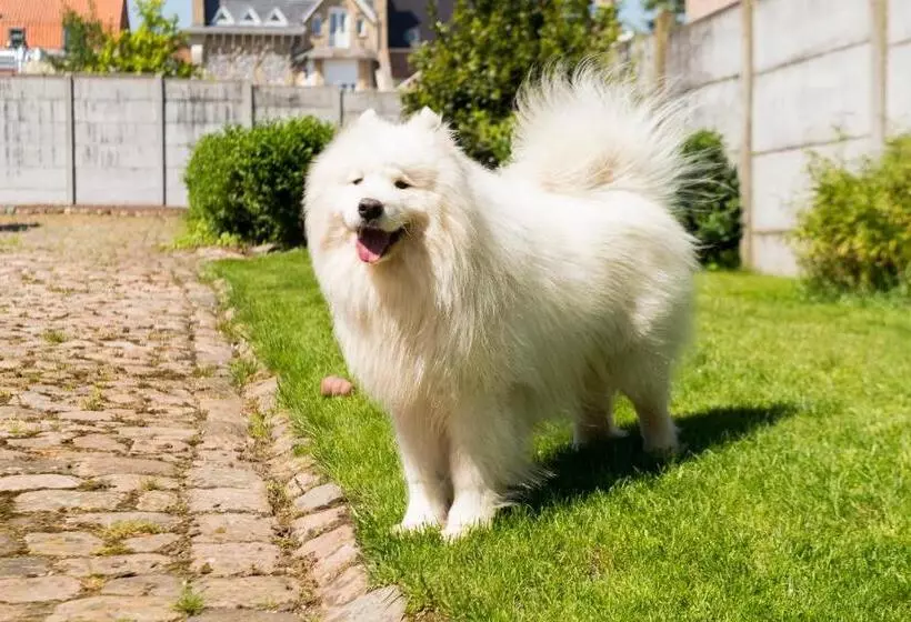 Отель Logis   Belle Hôtel, Lille Ouest