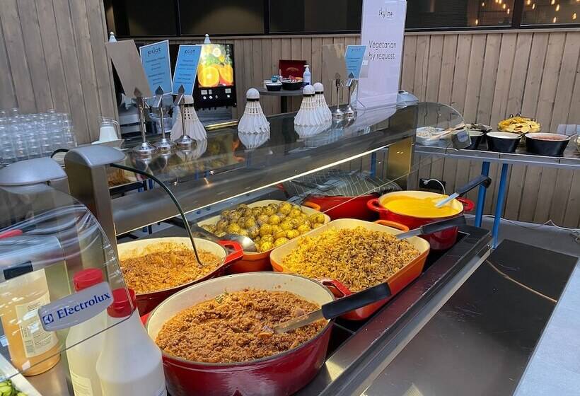 בית מלון כפרי Skyline Airport