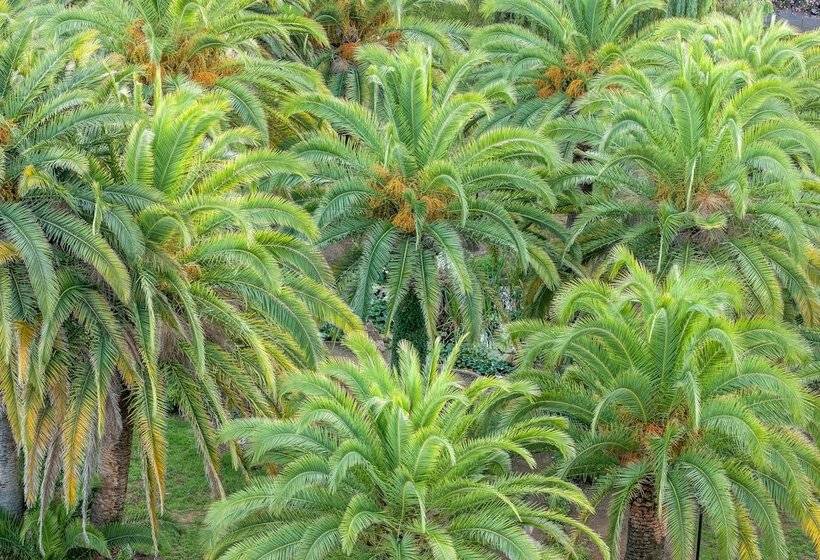 فندق Campo Dell Oro