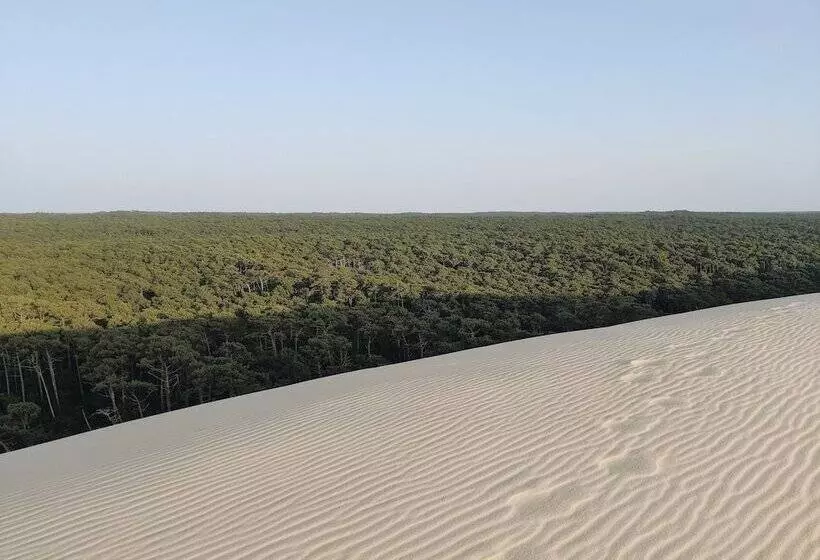 Intercontinental Bordeaux Le Grand Hotel, An Ihg