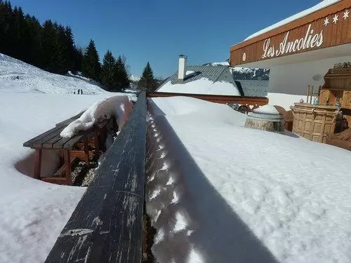 Отель Les Ancolies