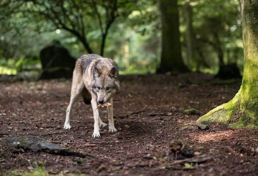 호텔 Goldflair Am Rathaus