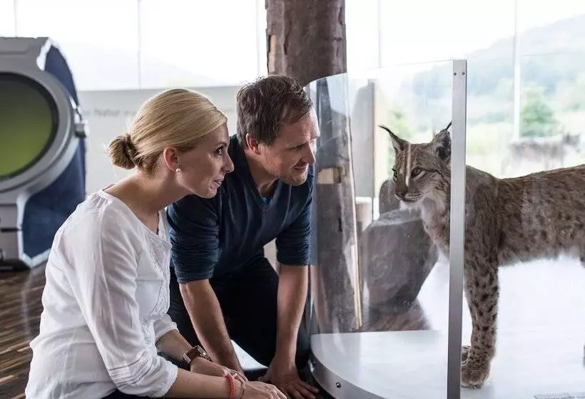 호텔 Goldflair Am Rathaus