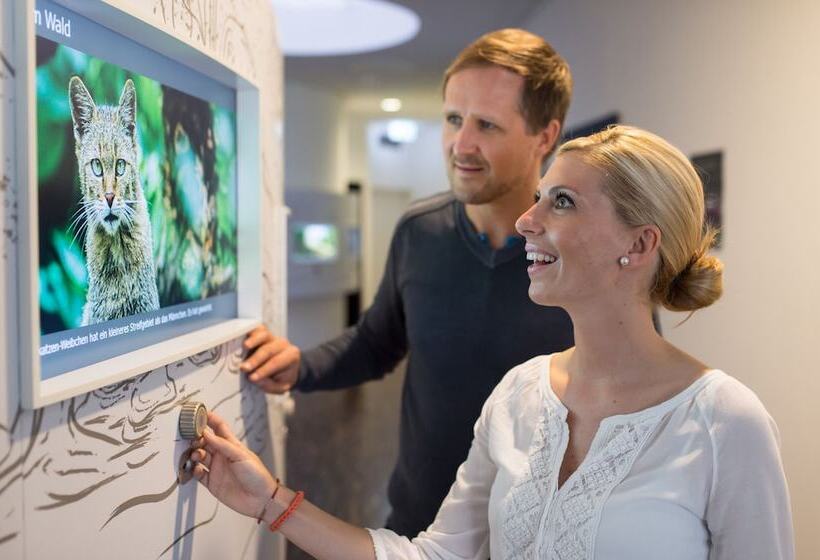 酒店 Goldflair Am Rathaus