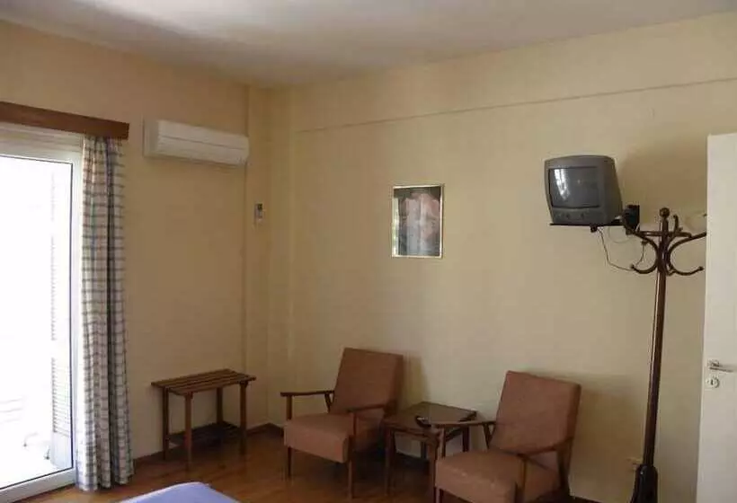 Отель Theoxenia