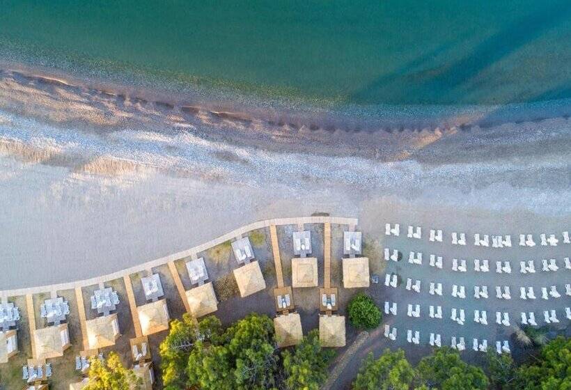 فندق Akra Fethiye The Residence Tui Blue Sensatori - Ultra All Inclusive - Adults Only