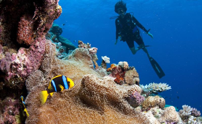 Hôtel Namale Resort And Spa