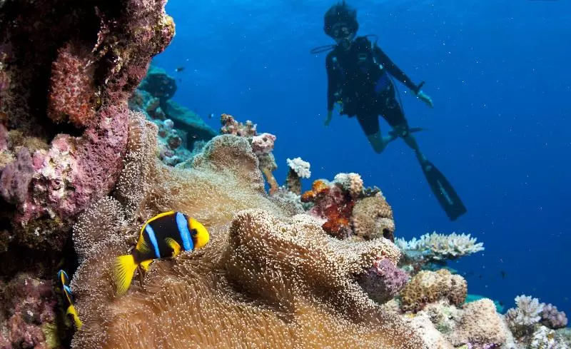 Hotelli Namale Resort And Spa