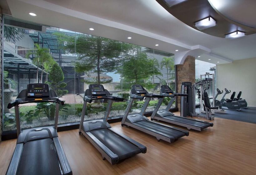 בית מלון כפרי Radisson Medan