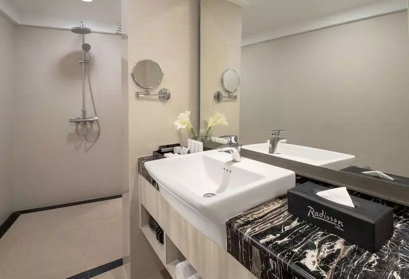 호텔 Radisson Medan