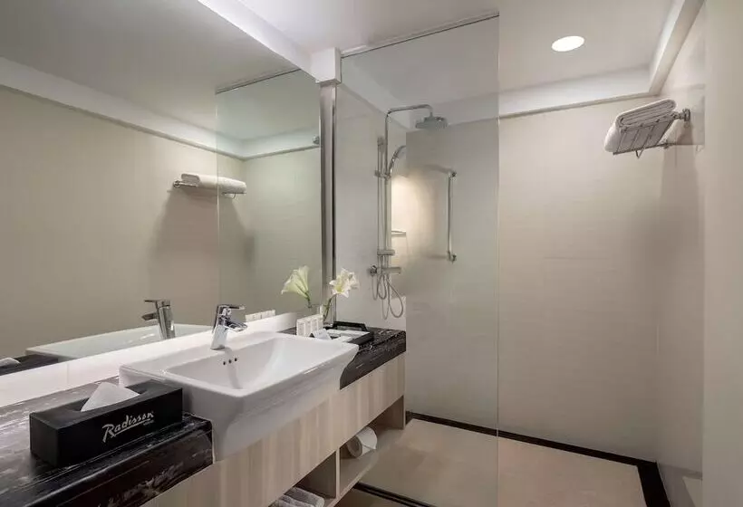 호텔 Radisson Medan