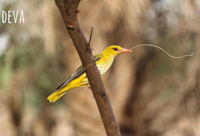 فندق Ramgarh Lodge, Jaipur – Ihcl Seleqtions