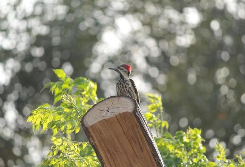 فندق Ramgarh Lodge, Jaipur – Ihcl Seleqtions