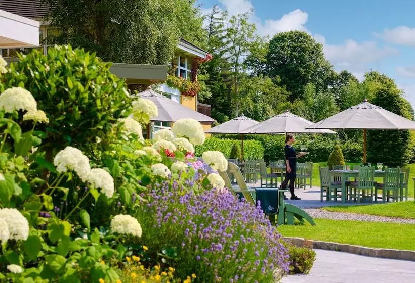 Отель The Killarney Park
