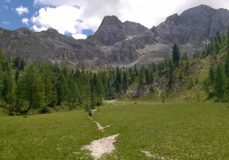 Отель Alaska Cortina