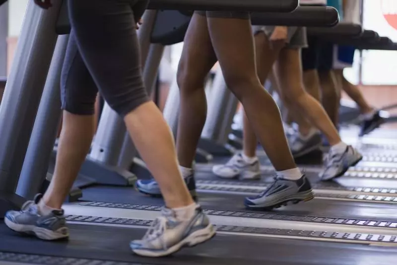 Отель Alaska Cortina