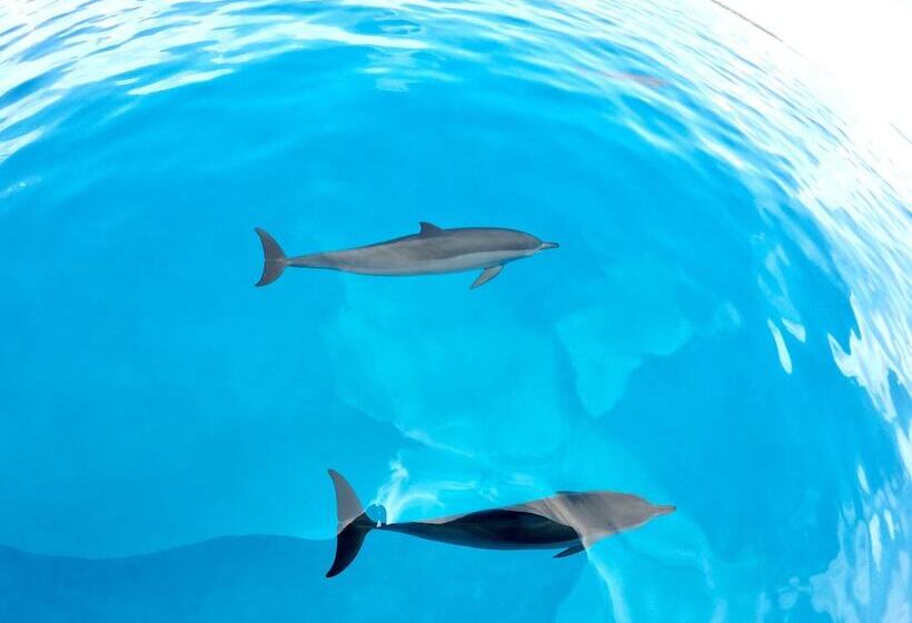 هتل Ithaa Inn Kamadhoo