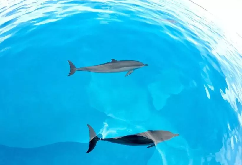 هتل Ithaa Inn Kamadhoo