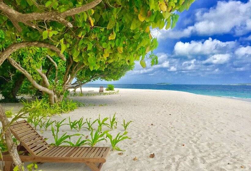 هتل Ithaa Inn Kamadhoo